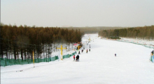 11fad7bcd2eg215.jpg